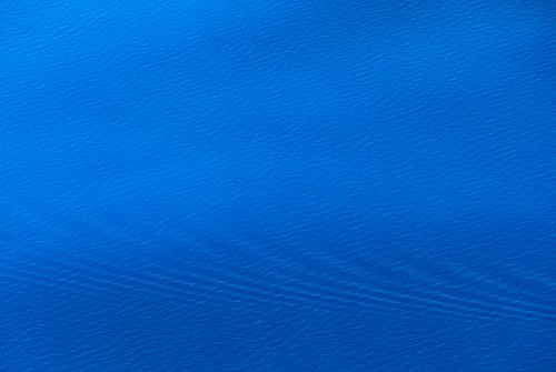 The Wake (la estela)