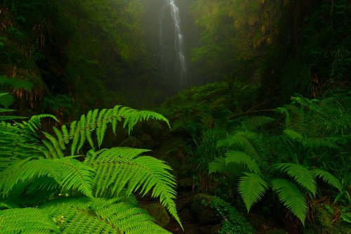 Bazter hezeak (Rincones húmedos)
