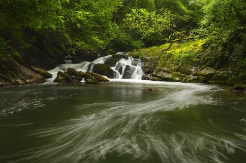 Bitsezko arrastoak (Rastros de espuma)