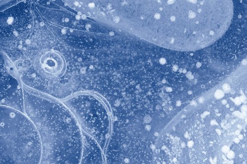 Elefante izoztuak (Elefantes congelados)