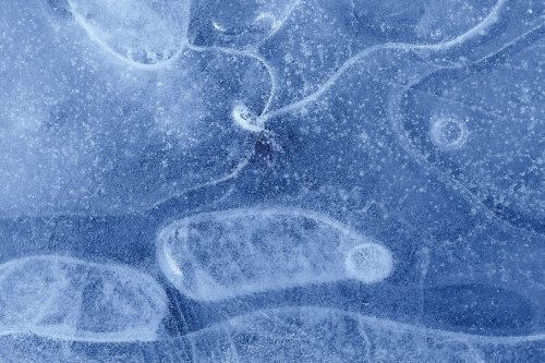 Izotzezko kapritxoak (Caprichos de hielo)