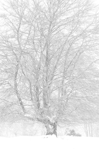 Haize eta mareei aurre eginez (Contra viento y marea)