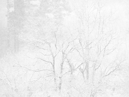 Momentu gogorrenetan ere elkarrekin (Juntos hasta en los tiempos más duros)