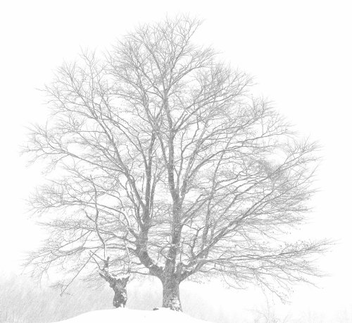 Amaren alboan (Junto a la madre)