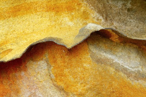 Milorrietan bat (Una hoja de las mil)