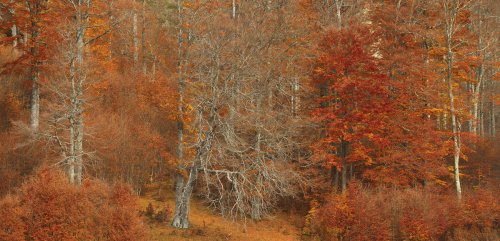 Batzuek hainbeste ta beste batzuek... (Unos tanto y otros...)