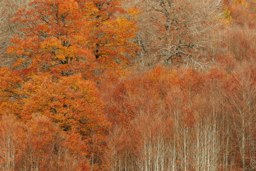 Ezkerra eta eskuma (Izquierda y derecha)
