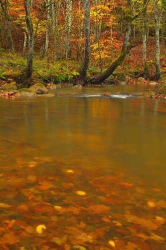 Urperatutako jantziak (Vestidos hundidos)