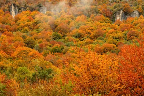 Udazkeneko maldak (Laderas otoñales)