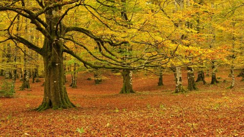 Break dance (Break dance)