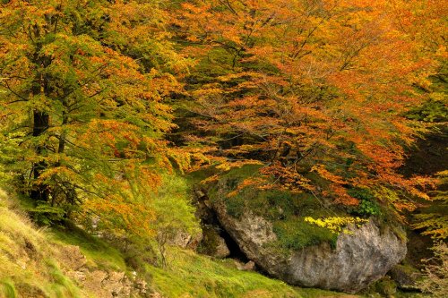 Harri bat bidean (Una piedra en el camino)