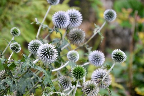 como fuegos artificiales
