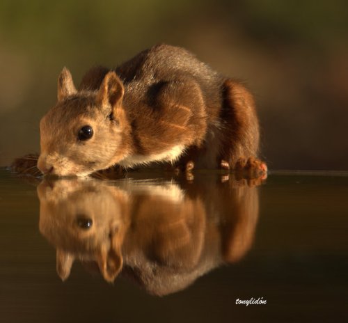 cuando apreta el calor