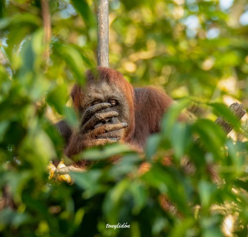 la hora de la comida