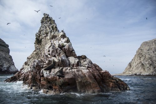 Islas Ballesta (Perú)