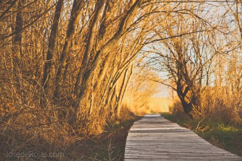 Relajación... naturalmente