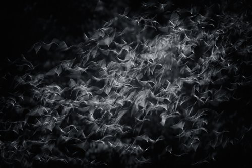 Espíritus de la Selva