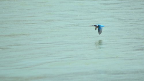 Explorando las aguas