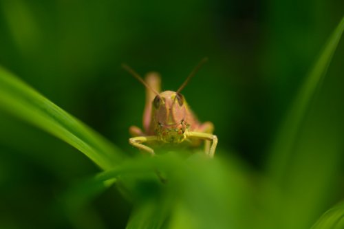 Cara a cara con el fotógrafo 