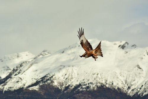 Vivir en la montaña
