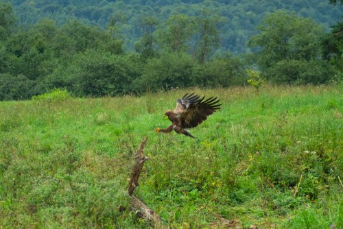 Aterrizaje formidable