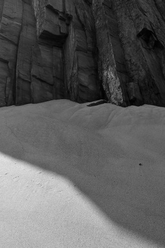 Las líneas de la vida