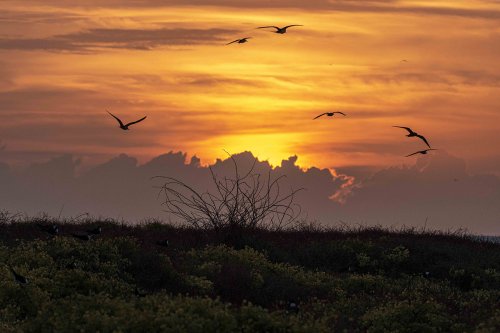 Amanecer Montecristi