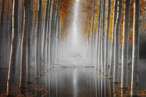 El ídolo caído III