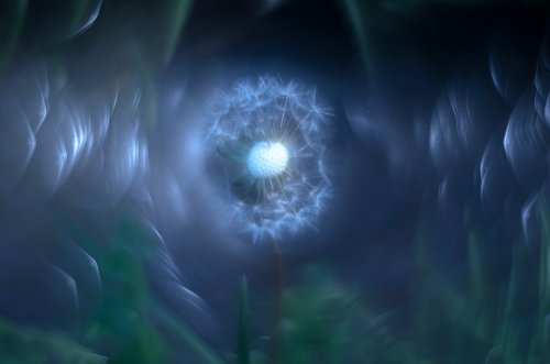 Solo cree en tus sueños...