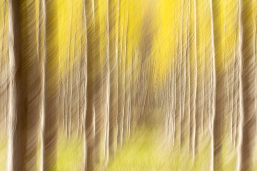 "Autumn in motion"