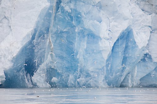 Naturaleza en extinción