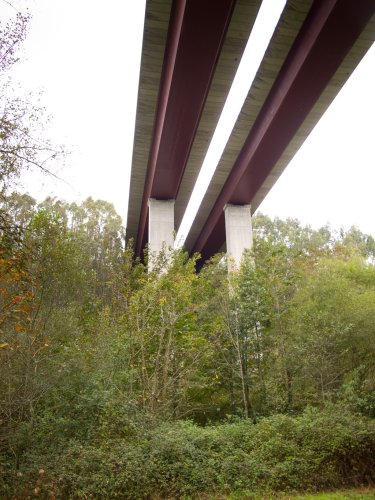 Objeto no identificado en el bosque