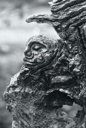 LOS ESPÍRITUS DEL BOSQUE