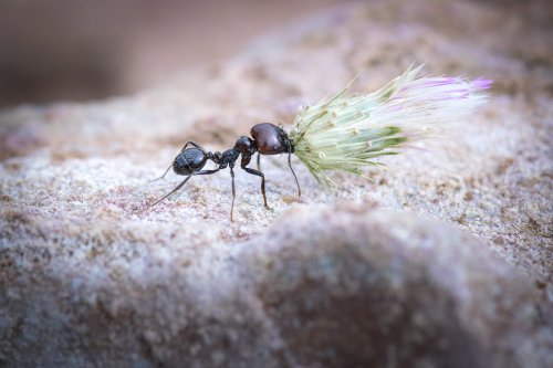 Llenando la despensa