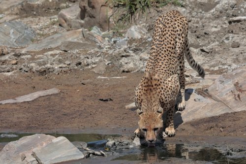 Cuando el sol aprieta...