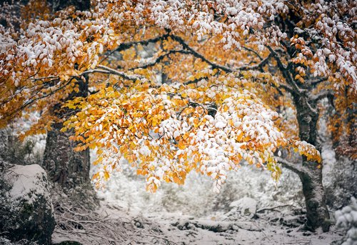 El otoño se encontró con el invierno