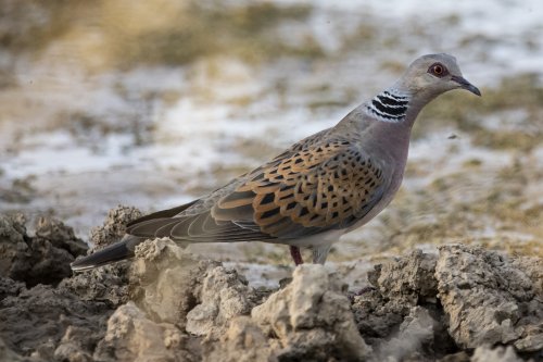 Posando con las mejores galas