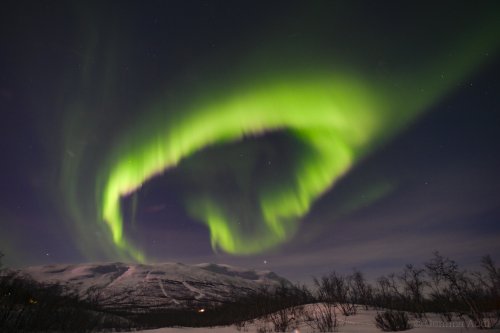 Aurora