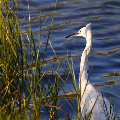 Elegí un mal día para ir a la peluquería...