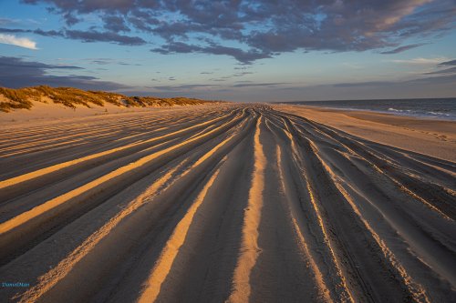 Playa de Doñana
