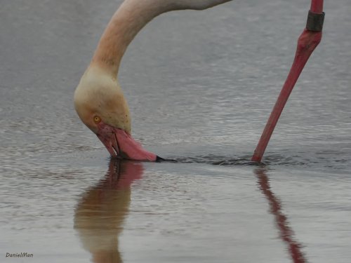 Desayuno en Navaseca