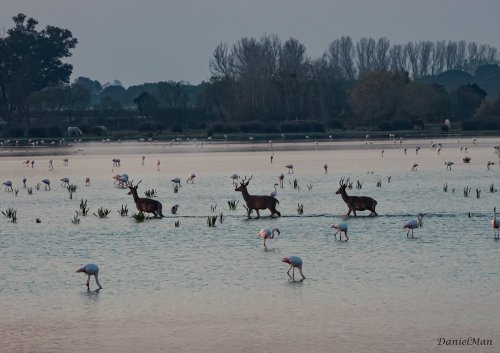 El agua es para todos