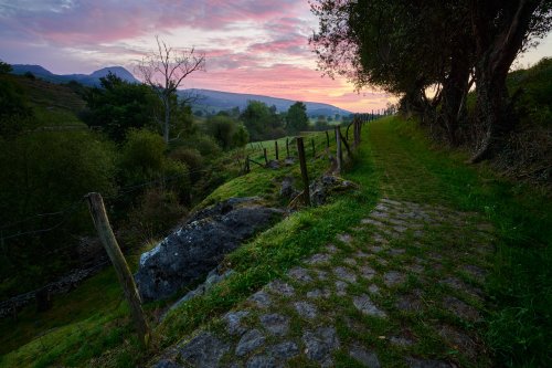 Anochece en el camino