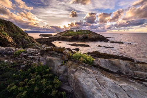 Biodiversidad en el Faro de Tapia de Casariego