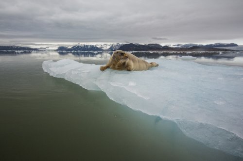 Descansando en mi balcón de hielo