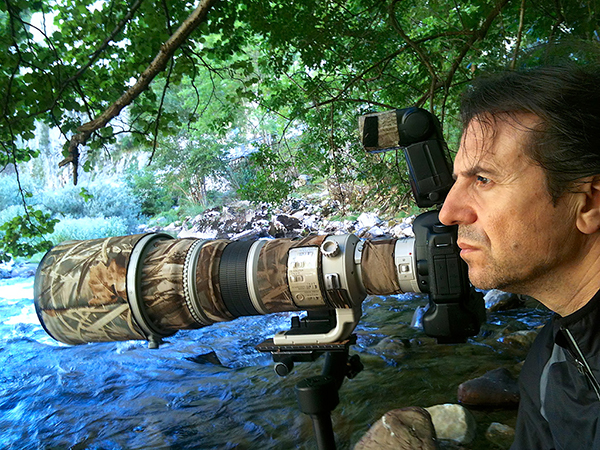 Andrés Miguel Domínguez