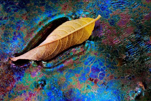 Un desconocido mundo de colores