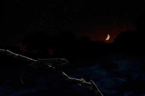 Esperando el amanecer