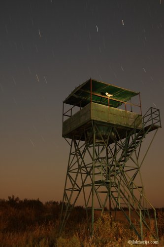 La lechuza y Doñana