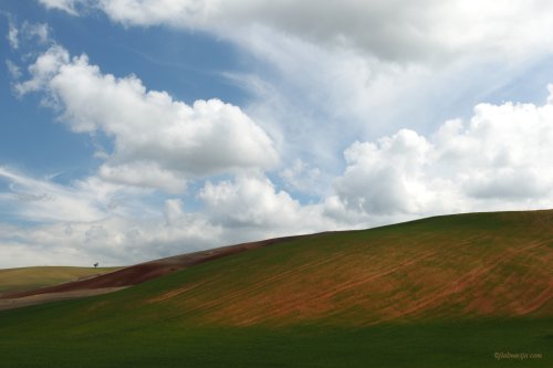 Diálogos con el paisaje